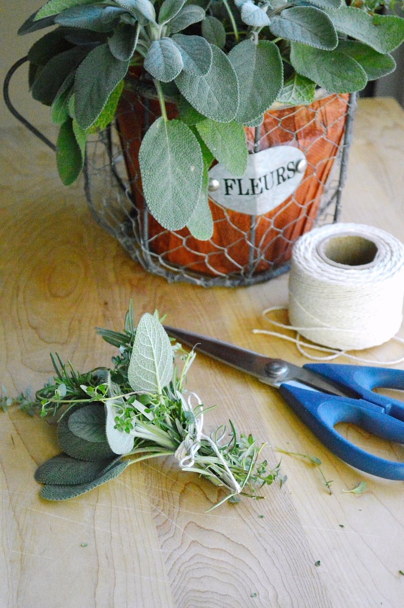 Trellis Herb Garden